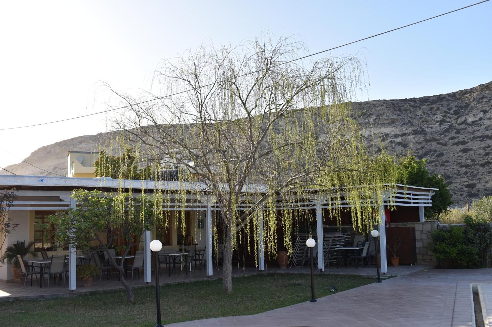 Dimitris Villa Hotel Matala Extérieur photo